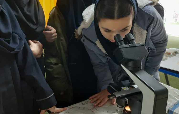 برگزاری کارسوق در متوسطه دخترانه دوره اول علوی