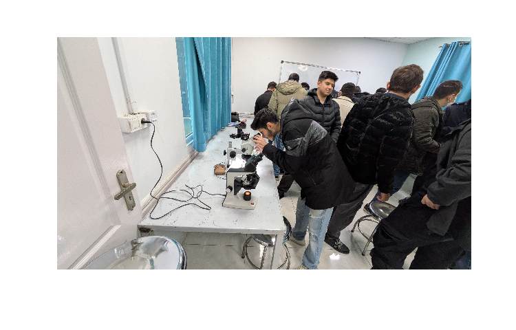 برگزاری کارسوق علوم در مدرسه 6