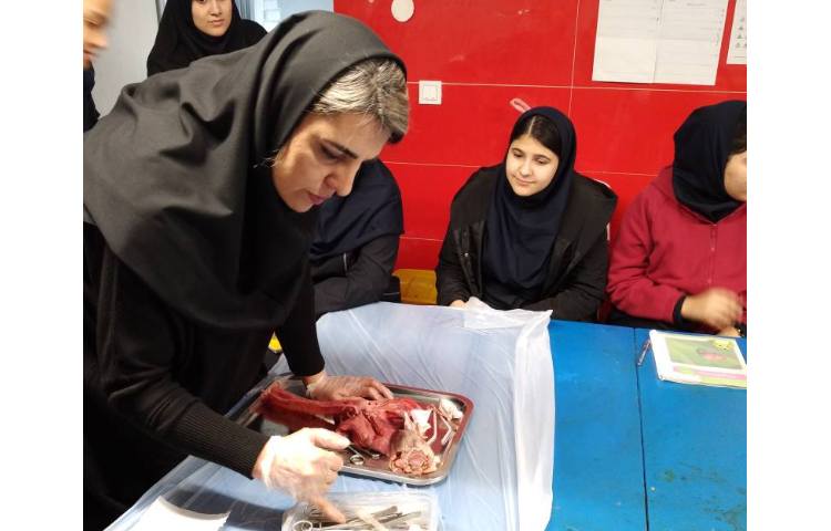 برگزاری کلاست زیست شناسی 2