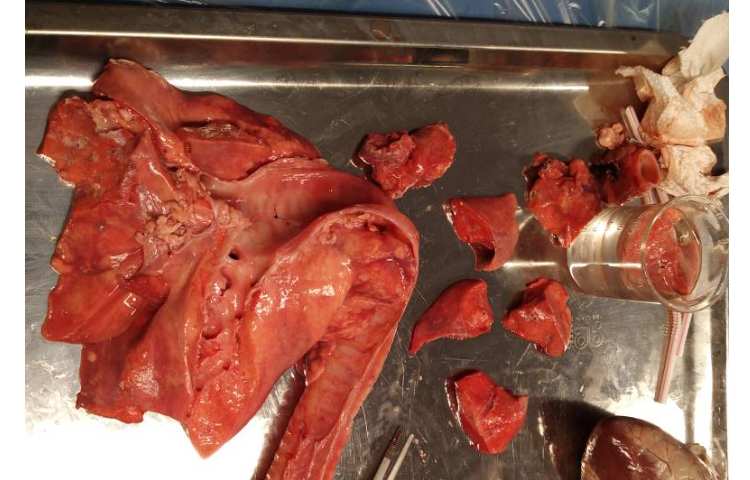 برگزاری کلاست زیست شناسی 4