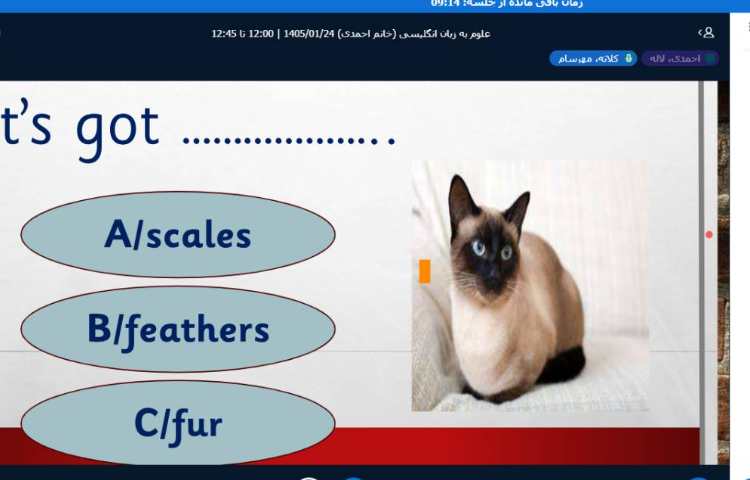 برگزاری کلاس آنلاین زبان انگلیسی 23