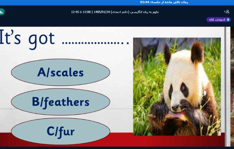 برگزاری کلاس آنلاین زبان انگلیسی 24
