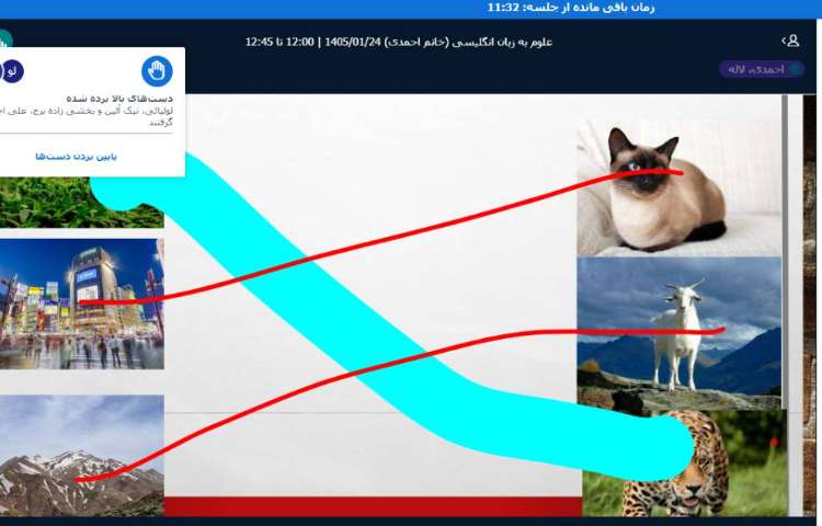 برگزاری کلاس آنلاین زبان انگلیسی 25