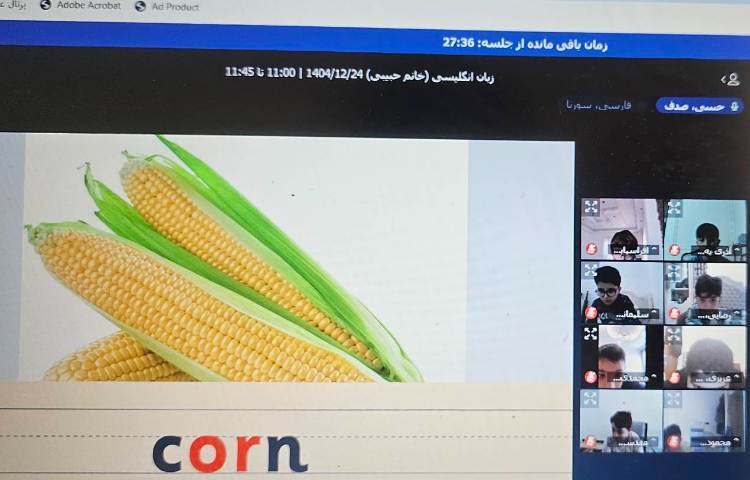 برگزاری کلاس آنلاین زبان انگلیسی 36