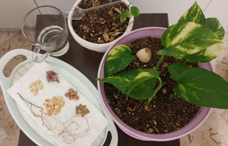 برگزاری کلاس آنلاین 1