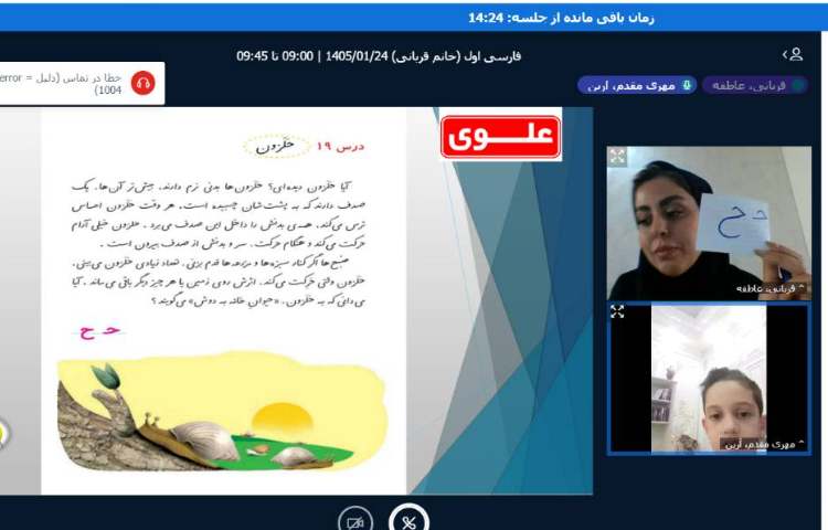 برگزاری کلاس آنلاین 19
