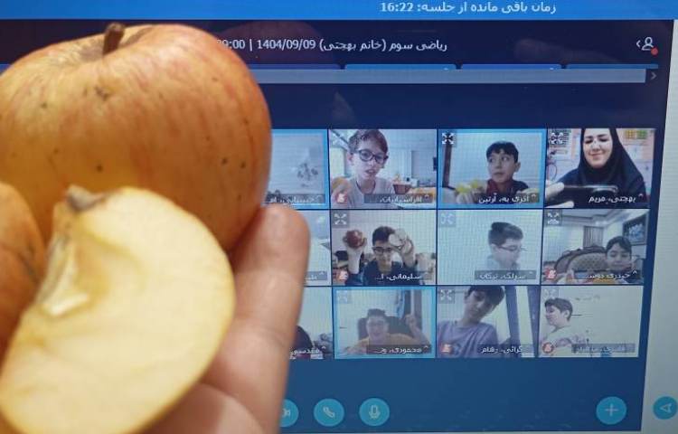 برگزاری کلاس مجازی 27