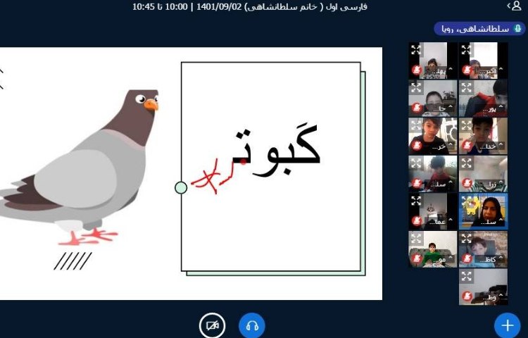 :برگزاری کلاس های آنلاین با حضور پسران پر انرژی علوی