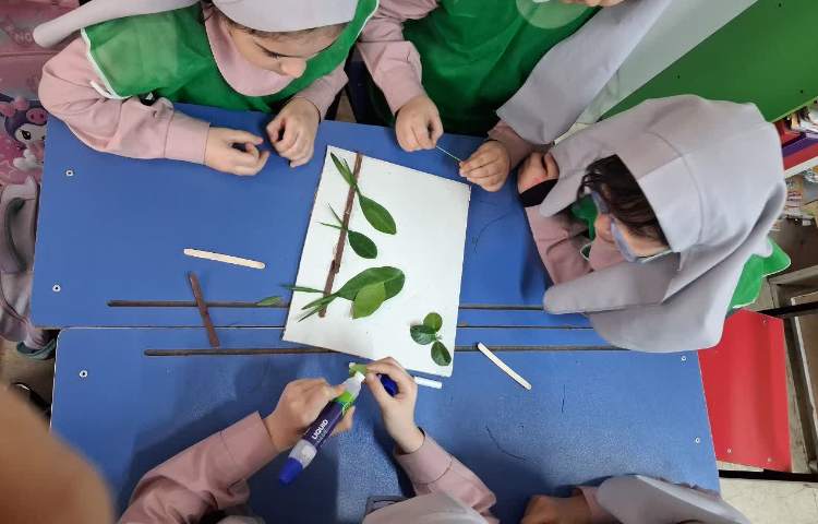 برگ و خلاقیت 2