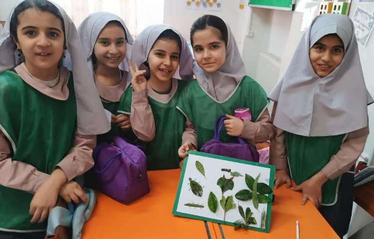 برگ و خلاقیت