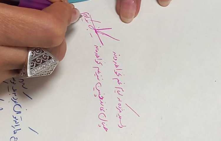 بزرگداشت حافظ 8