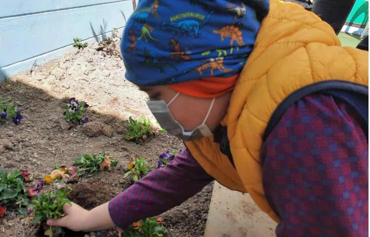 بزرگداشت روز درختکاری 15 اسفند ماه 12