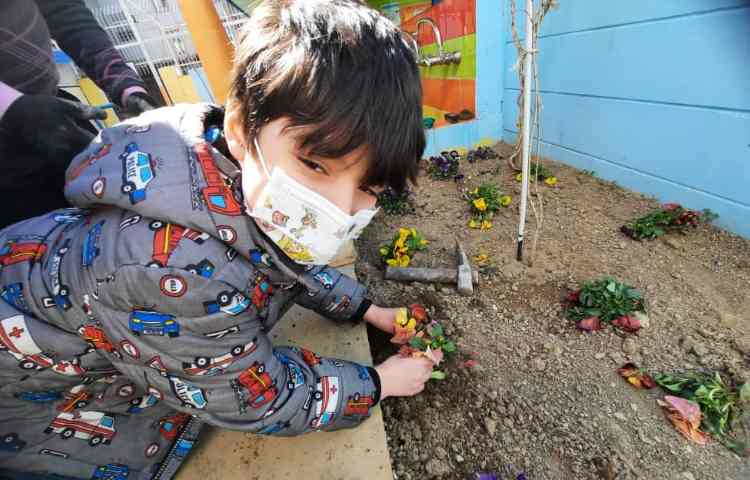 بزرگداشت روز درختکاری 15 اسفند ماه 4