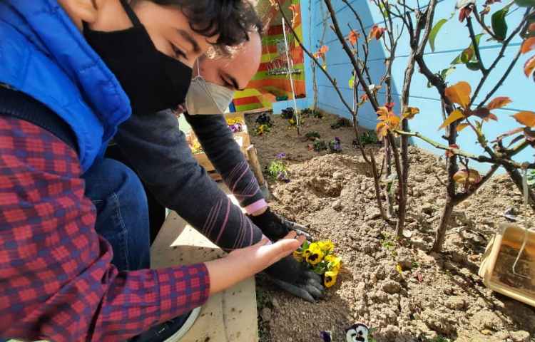 بزرگداشت روز درختکاری 15 اسفند ماه 5