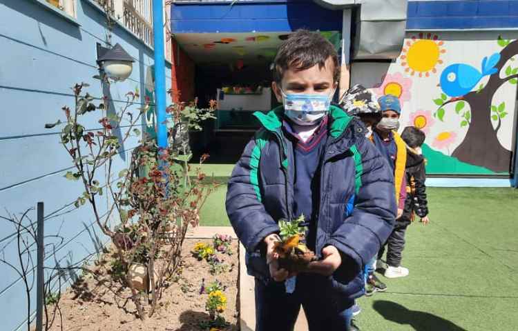 بزرگداشت روز درختکاری 15 اسفند ماه 9