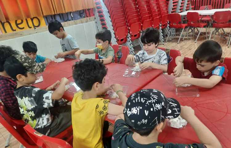 بستنی میوه ای 2