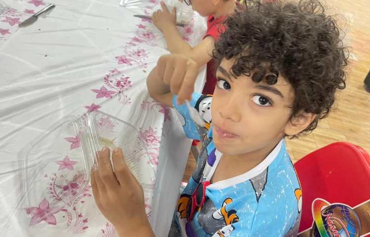 بستنی میوه ای 2