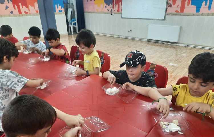 بستنی میوه ای 4