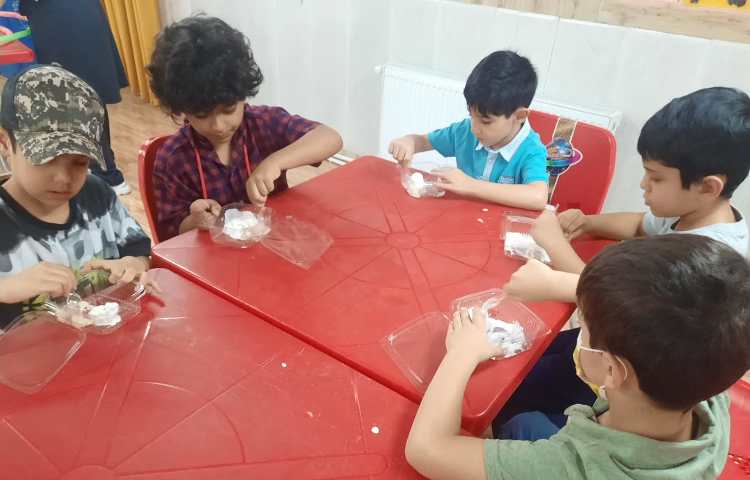 بستنی میوه ای 5