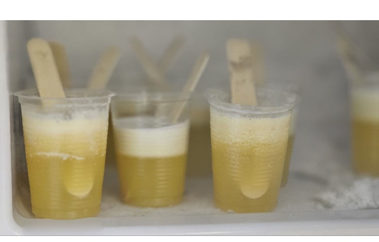 بستنی یخی ماهرشو 4