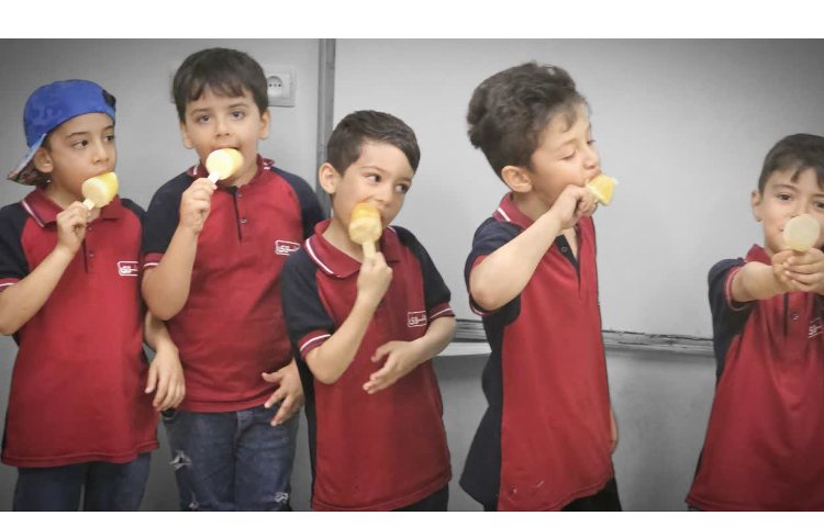 بستنی یخی ماهرشو 4