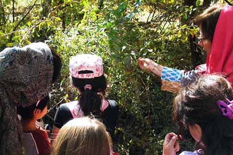 رونمایی از بسته آموزشی محیط زیست ویژه‌ی مربیان پیش‌دبستانی