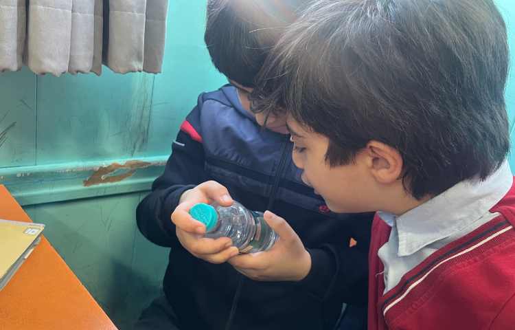 بسته بندی و مندرجات آن 2