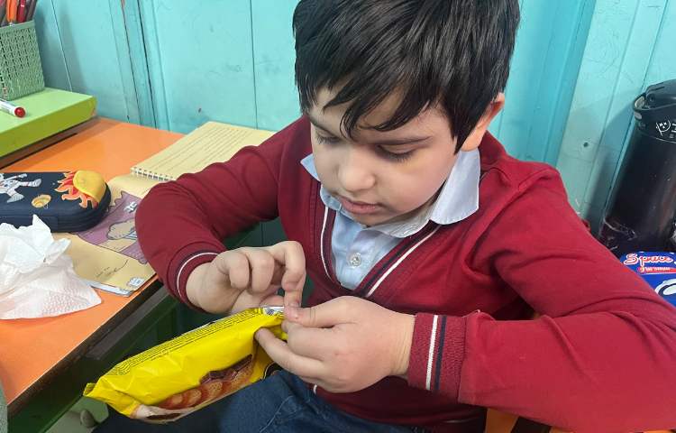 بسته بندی و مندرجات آن