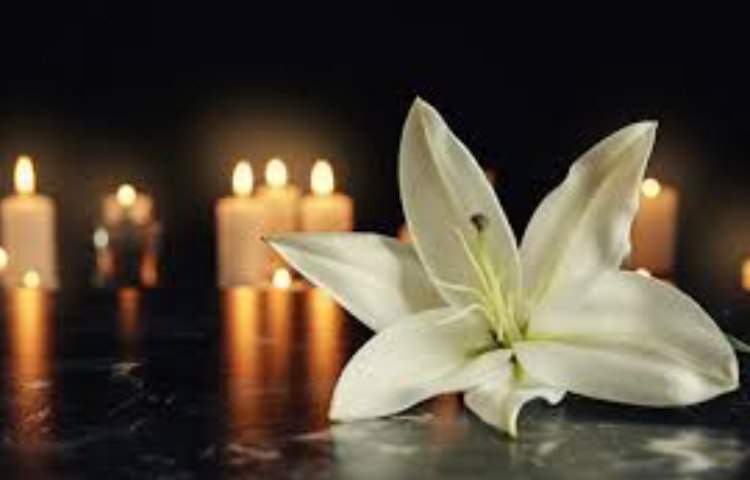 بندر عباس تسلیت 2