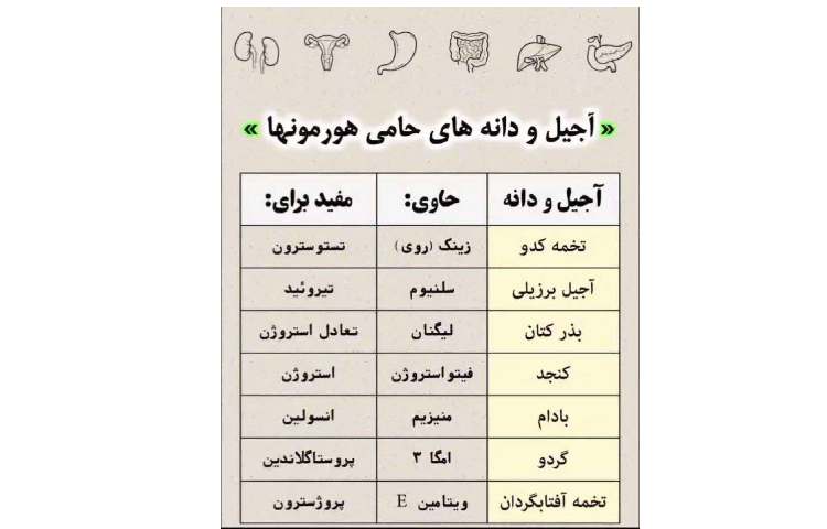 بهداشت: آجیل و دانه‌های حامی هورمونها 1