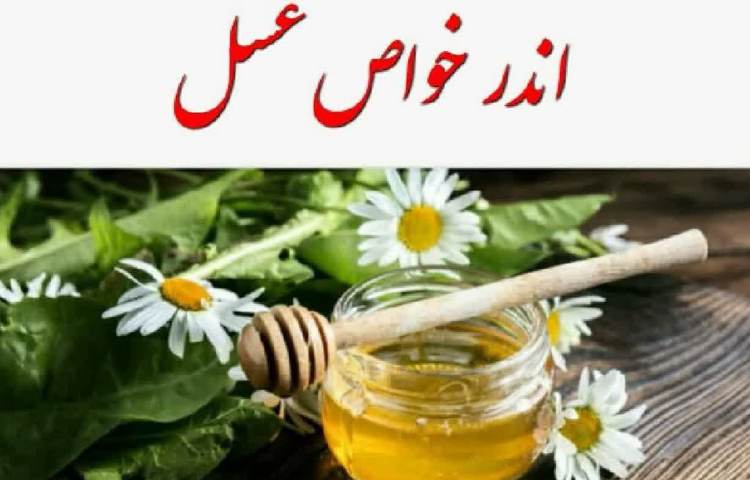 بهداشت اندر خواص عسل 1