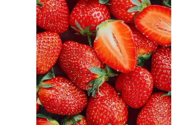 بهداشت: توت فرنگی منبع غنی از آهن مناسب برای افراد کم خون و کودکان ضعیف