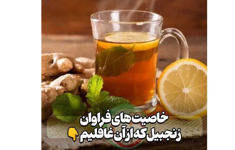 بهداشت خاصیت های فراوان زنجبیل که از آن غافلیم