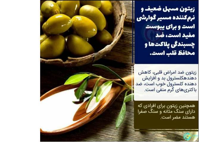 بهداشت: خواص دارویی زیتون