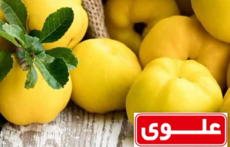 بهداشت خواص و فواید میوه ها