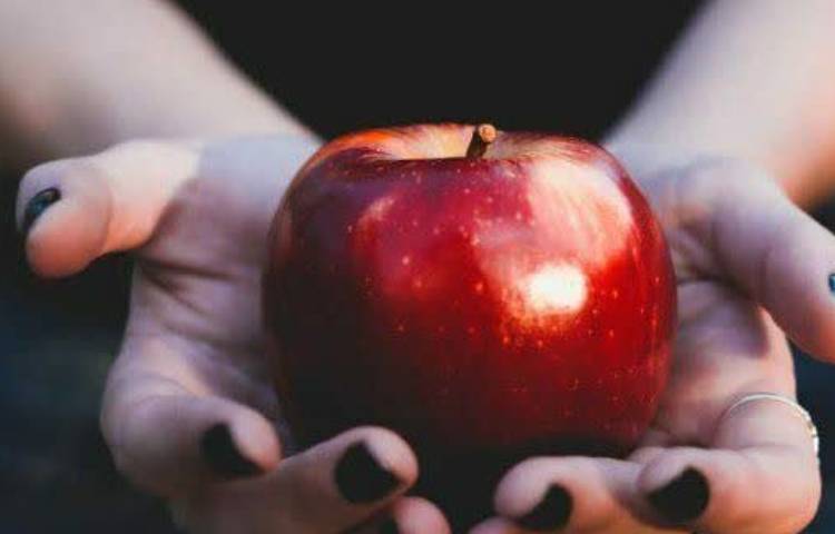 بهداشت در طول روز این 4 خوردنی را فراموش نکنید!