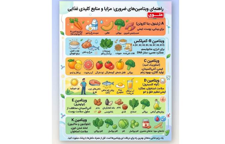 بهداشت راهنمای ویتامین‌های ضروری: مزایا و منابع کلیدی غذایی 1