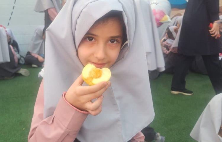 بهداشت : روز جهانی سیب 8