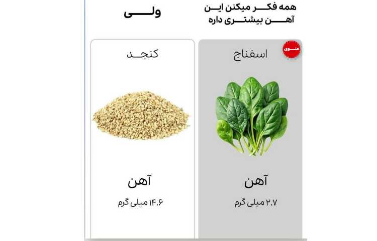 بهداشت: فواید مواد غذایی های مختلف