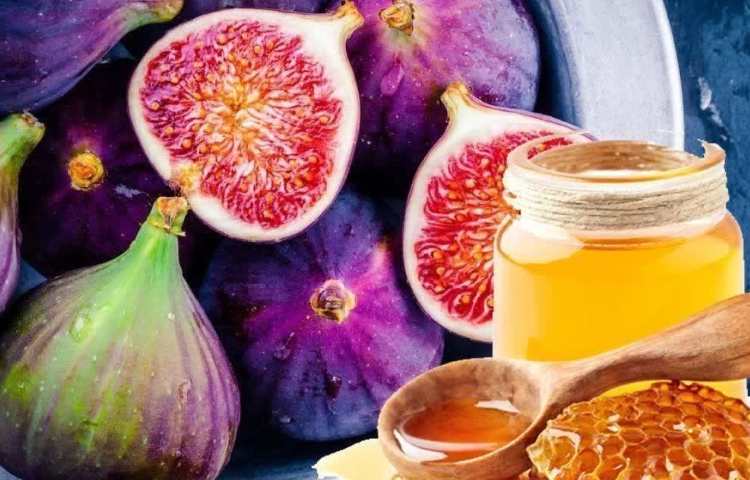 بهداشت: مخلوط انجیر خشک با عسل 1