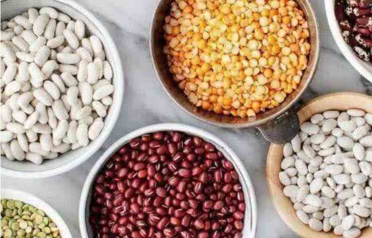بهداشت مواد غذایی که می توان بجای پروتئین حیوانی استفاده کرد
