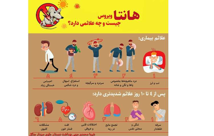 بهداشت : هانتا ویروس 2
