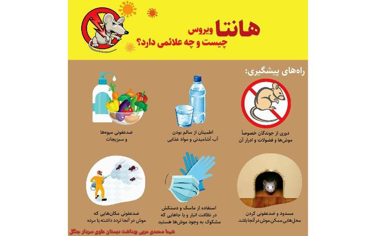 بهداشت : هانتا ویروس 3