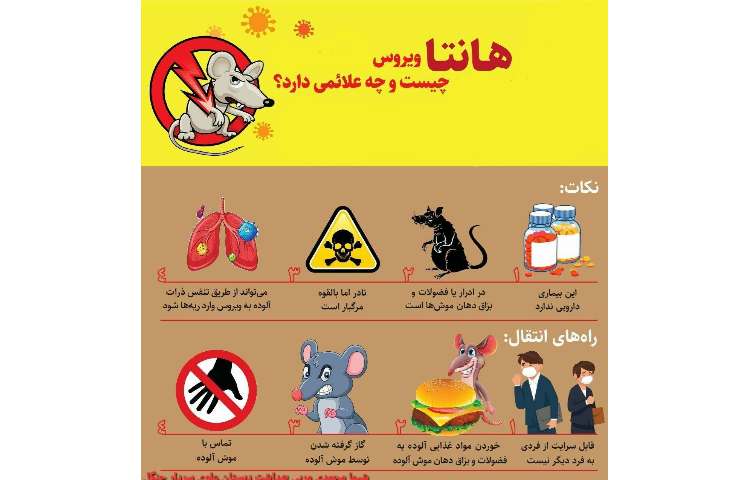 بهداشت : هانتا ویروس