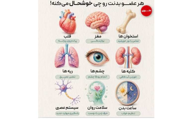 بهداشت هر بخش بدن با چه چیزی حالش خوب میشه؟