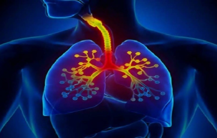 بهداشت و سلامت