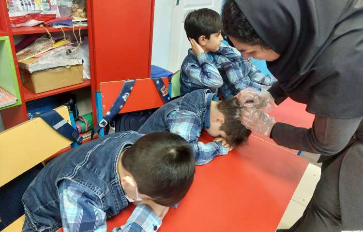 :بهداشت، پدیکلوز 8