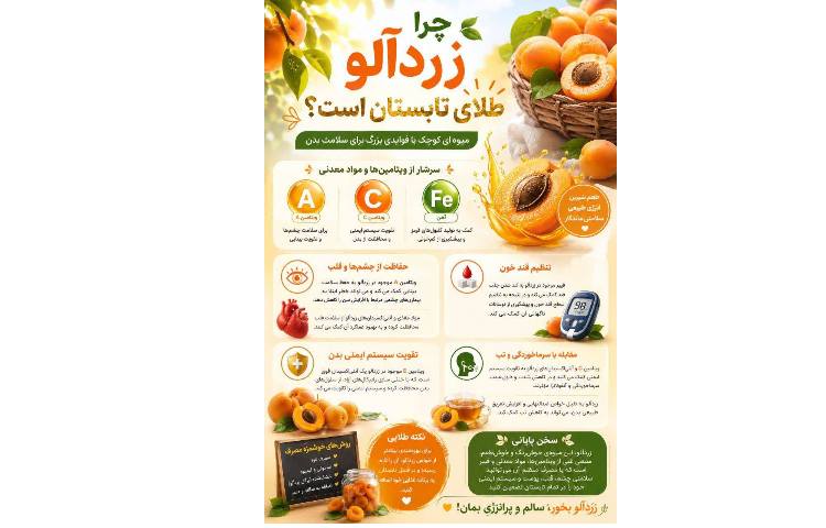 بهداشت: چرا زردآلو طلای تابستان است؟!