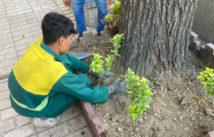 بهینه سازی خدمات اینترنت و فضای بیرونی مدرسه 2