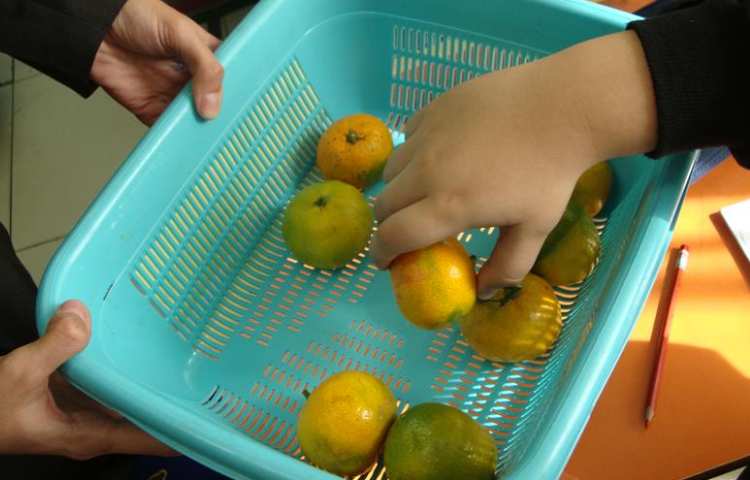 به وقت میان وعده در دبستان علوی 7